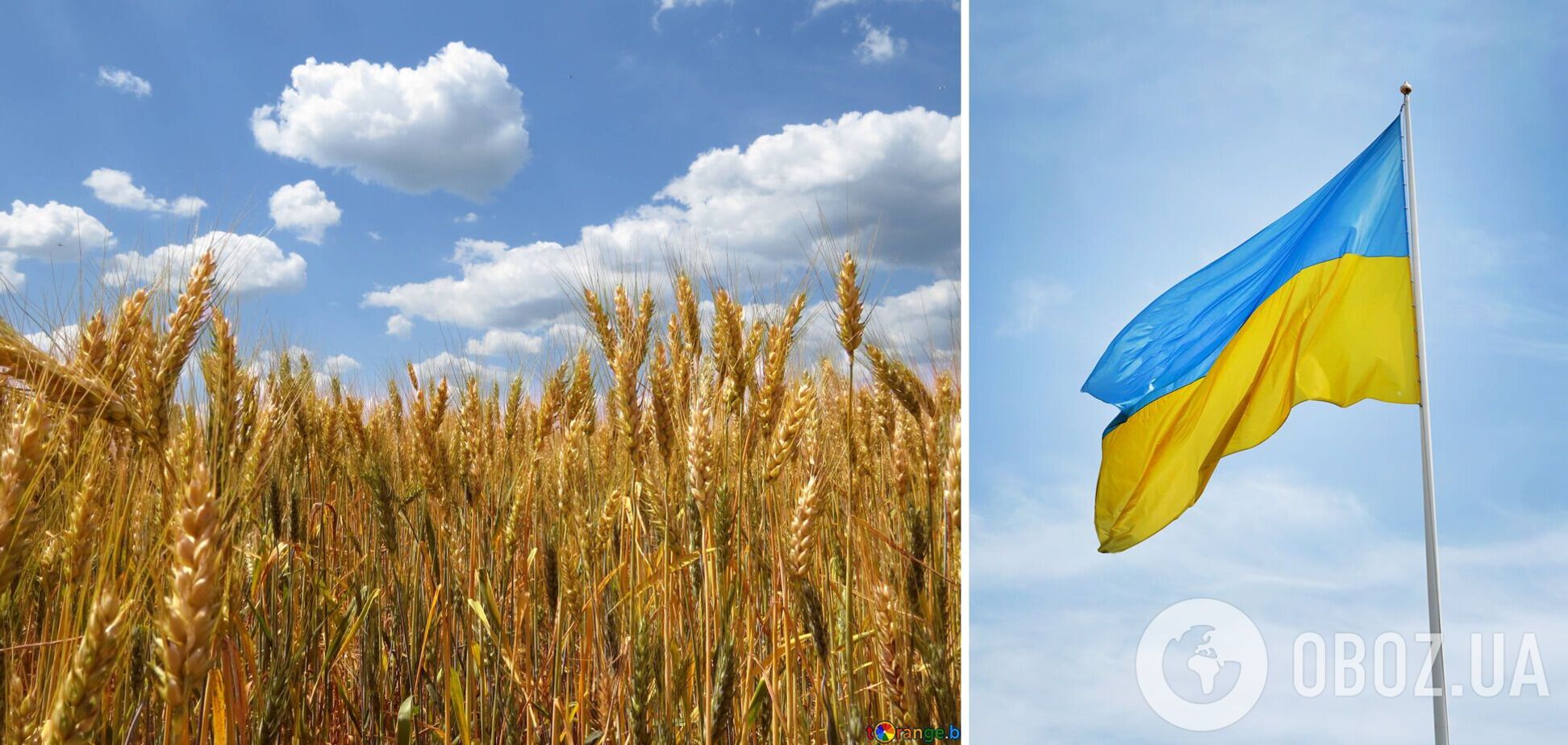Україна продовжує годувати світ, попри війну