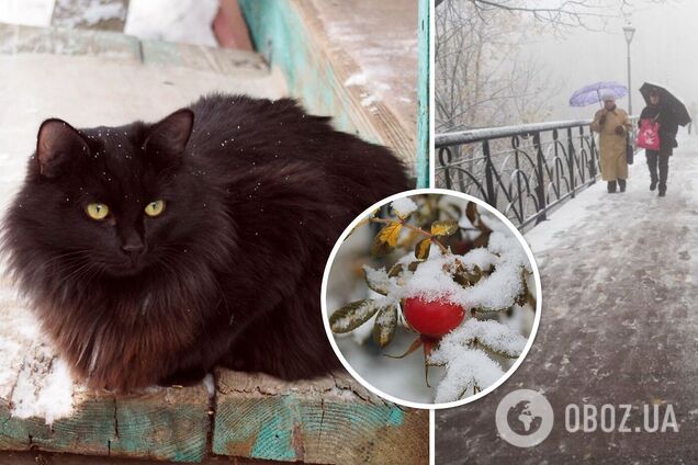 Украину начало засыпать снегом: синоптики предупредили об ухудшении погоды. Карта