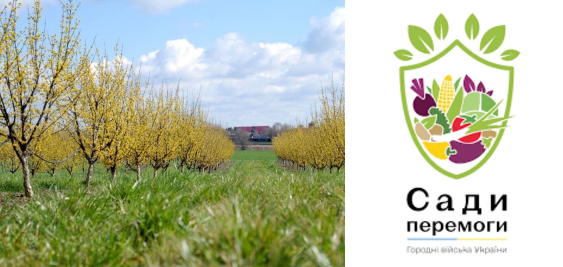 Продовольча безпека: чи готові громади до викликів війни