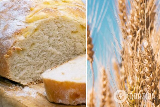 Украина увеличила продажи зерна