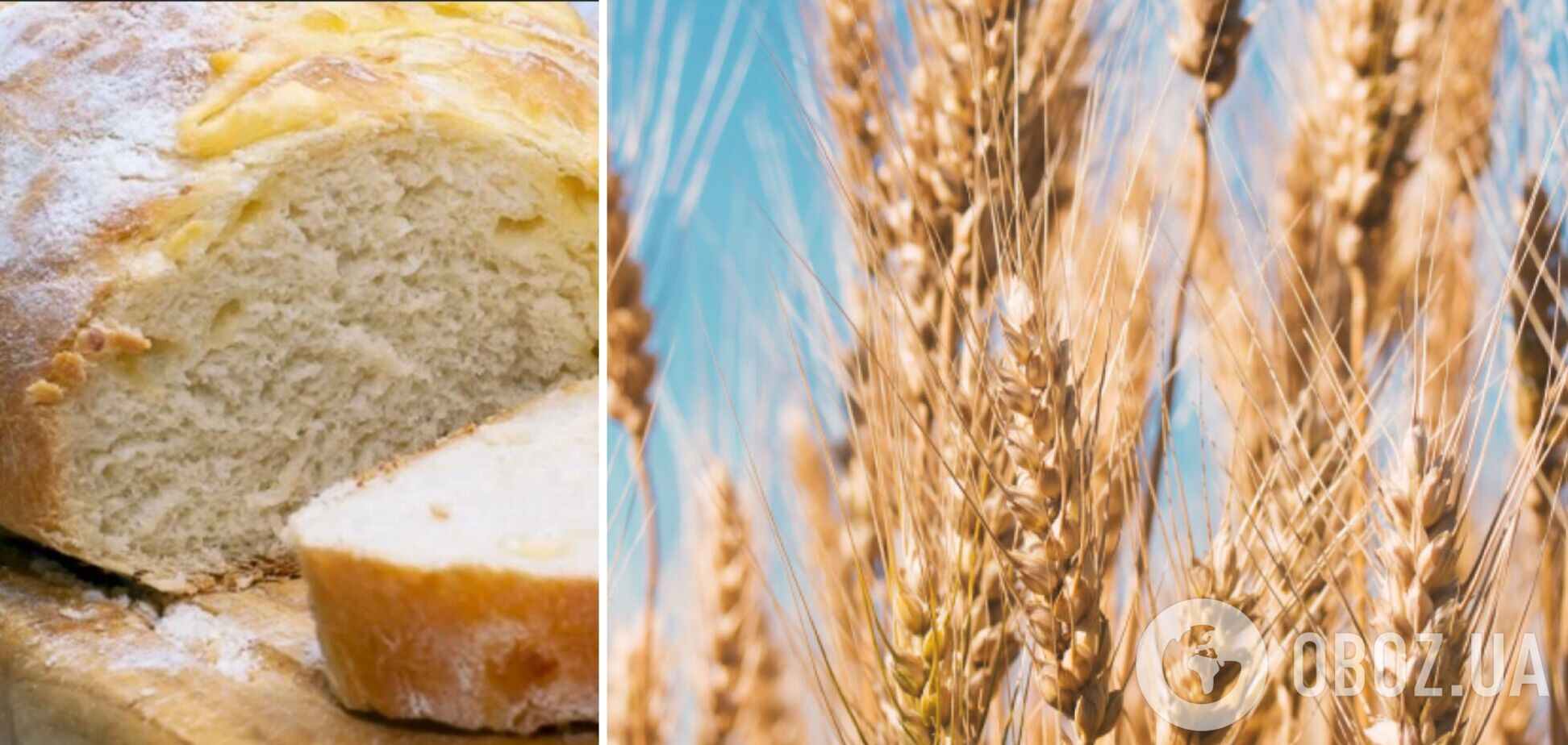 Украина увеличила продажи зерна