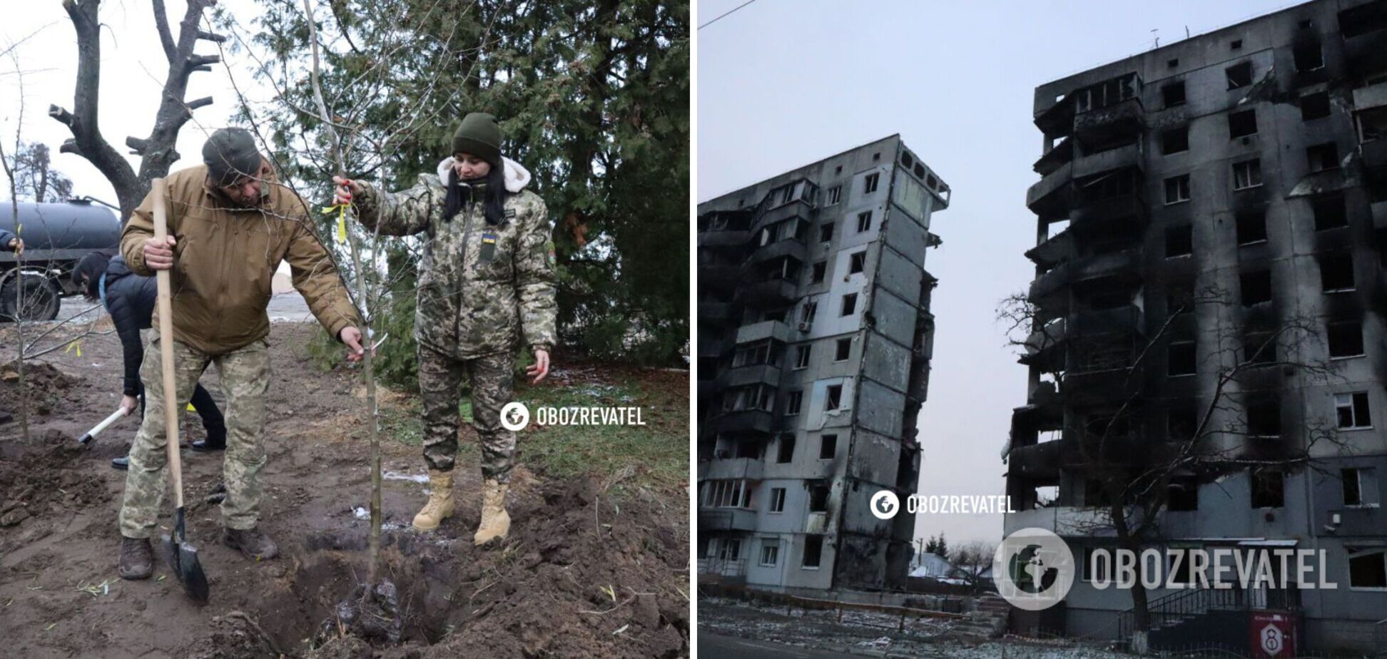 В Бородянке высадили 'Калиновую рощу' в память о погибших защитниках Украины. Фото и видео