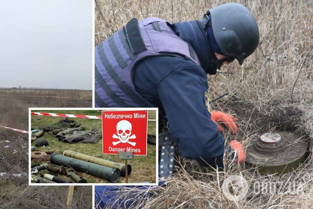 В Україні заміновано понад 30% території, це як дві держави Австрія – ДСНС