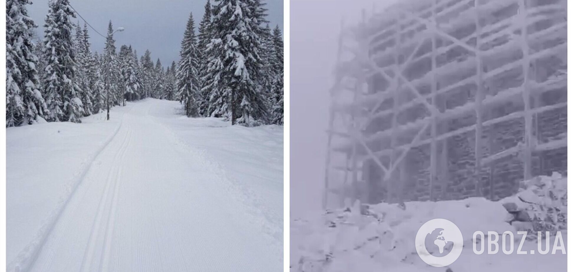 'Не кращий час для походів': рятувальники показали хуртовину в Карпатах. Відео