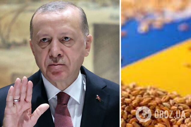 Россиян возмутило возобновление 'зернового коридора' после переговоров Эрдогана и Шойгу