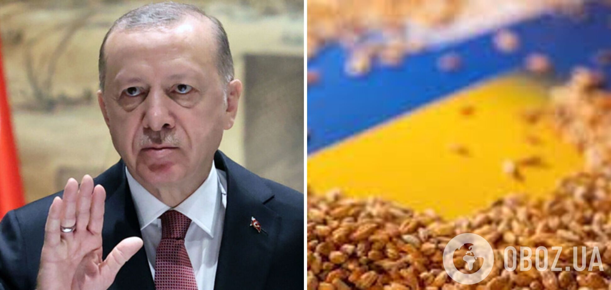 Росіян обурило відновлення 'зернового коридору' після перемовин Ердогана з Шойгу