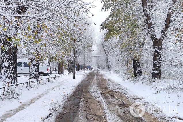 На дорогах регіону ожеледиця