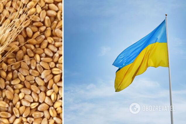 Страны Африки и Азии получат украинское зерно бесплатно