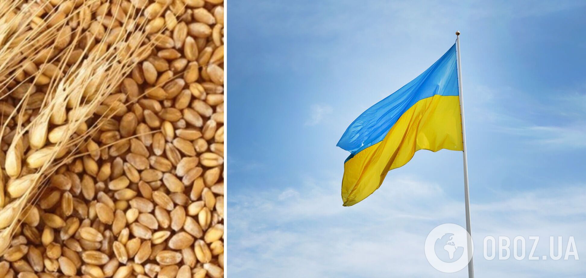 Країни Африки та Азії отримають українське зерно безкоштовно