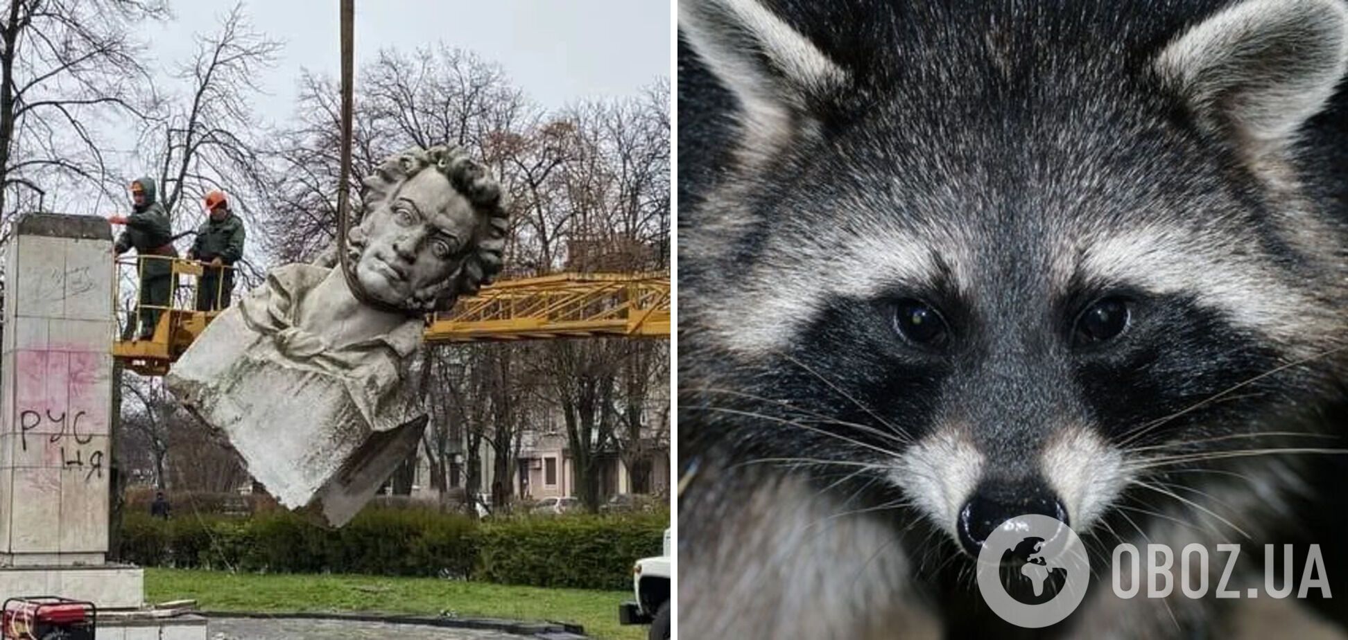 Украина готова обменять снесенные памятники Пушкину на херсонского енота