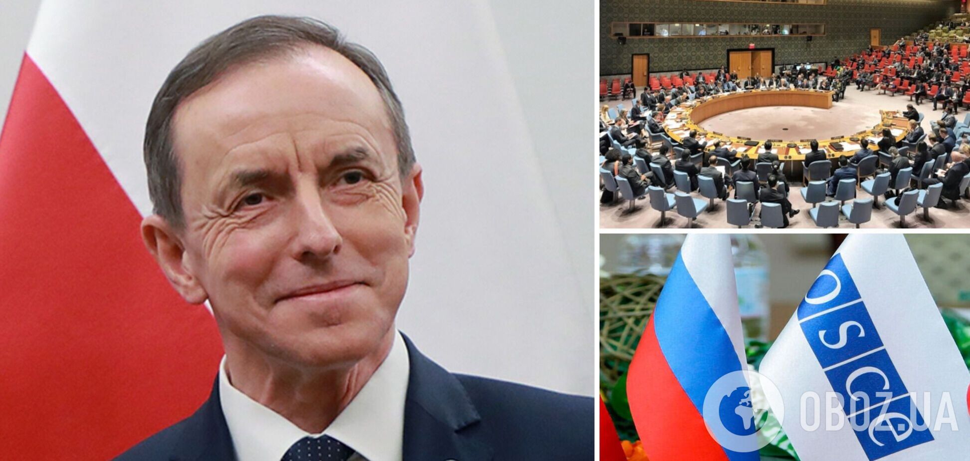 Гродзкий призвал исключить РФ из Парламентской ассамблеи ОБСЕ и Совета Безопасности ООН