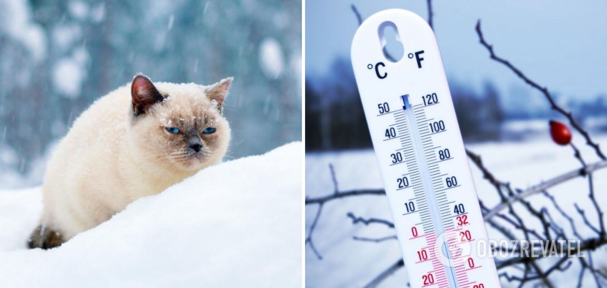 Аномальное тепло или сильные морозы: синоптик рассказал, какой погоды ждать в декабре в Украине