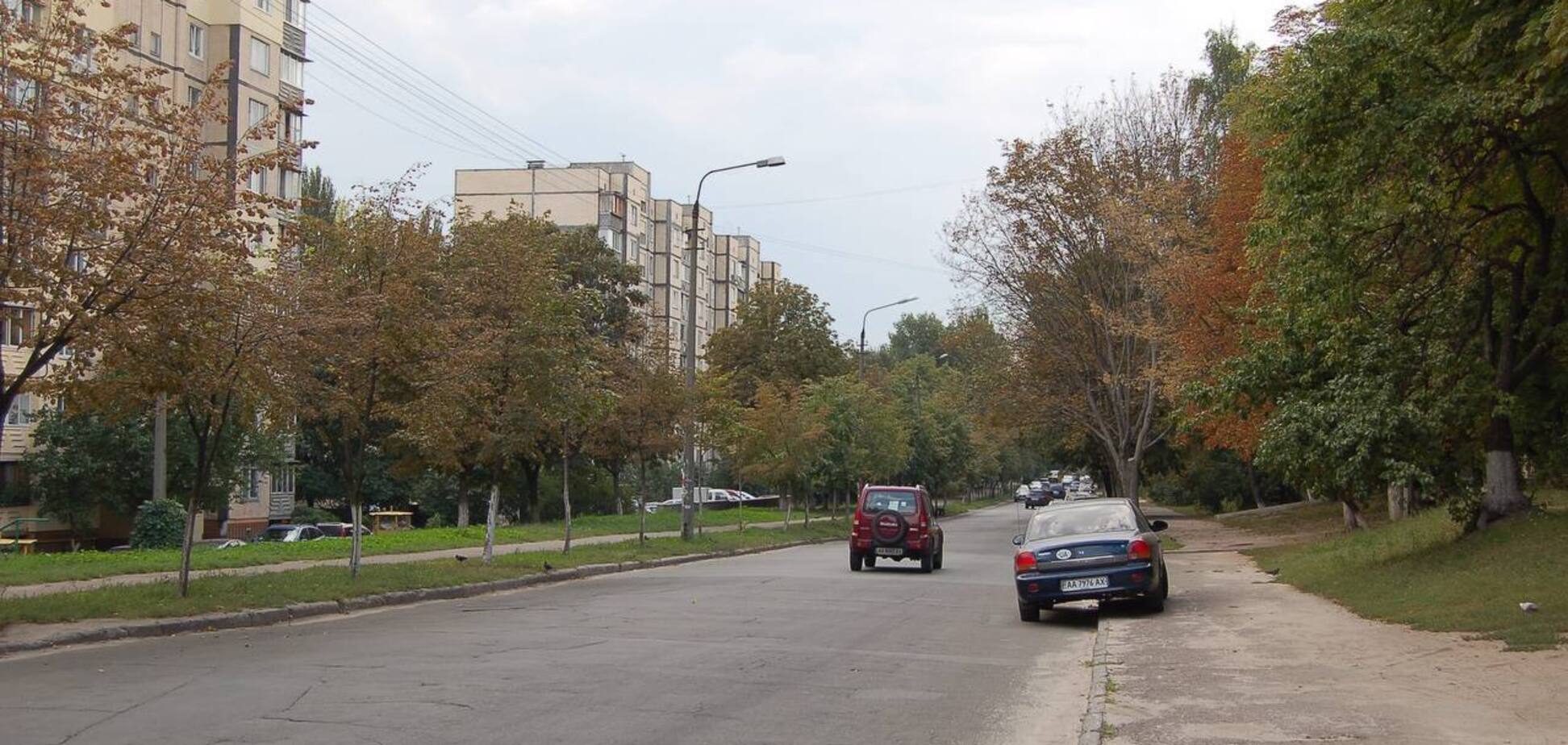 В Киеве переименовали улицу Ломоносова