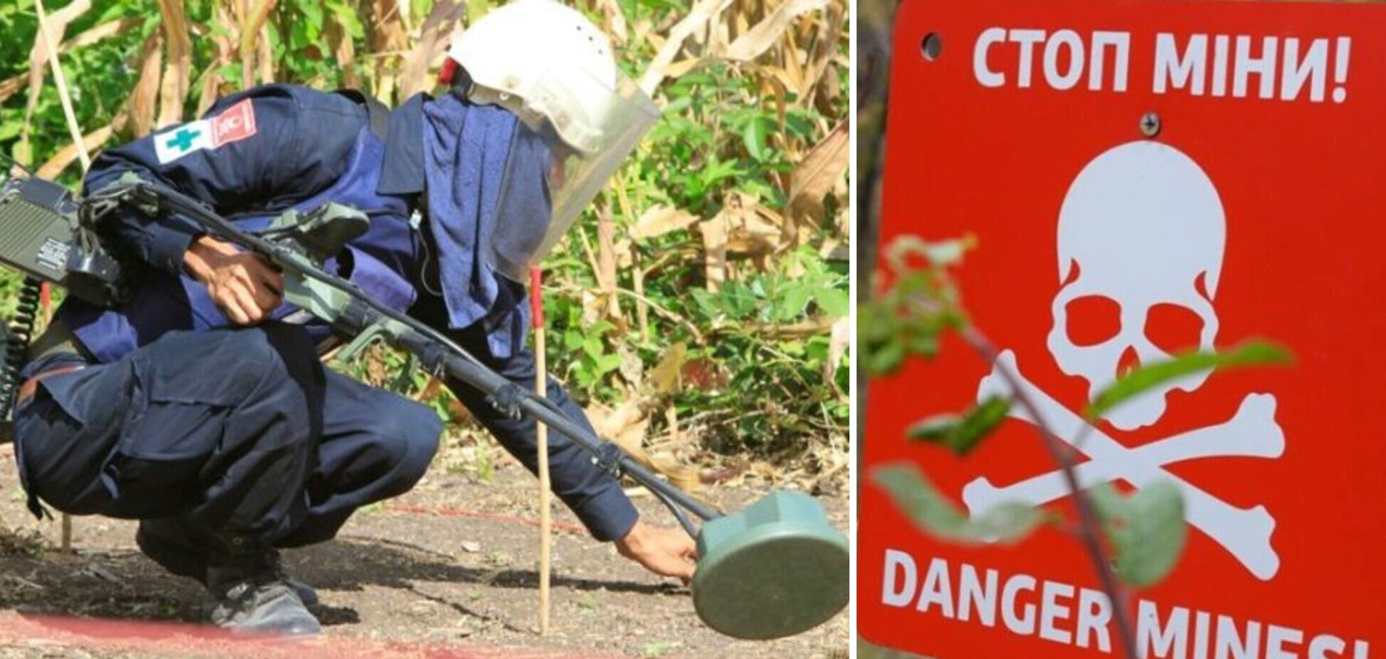 Камбоджа направит в Украину группу лучших в мире саперов, еще одна приедет в 2023 году