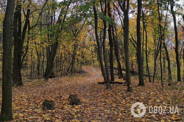 Синоптики не прогнозируют существенных осадков