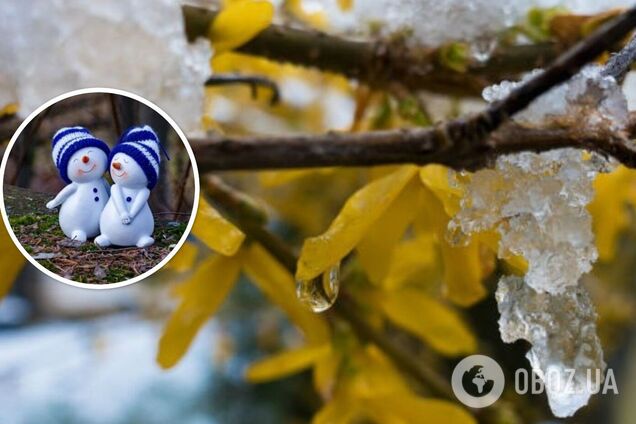 Хуртовин поки не буде: синоптик розповів, якої погоди чекати на початку грудня в Україні