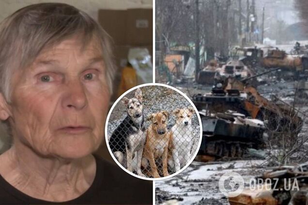 Спасла почти 1000 животных в Ирпене: новая история в Музее 'Голоса Мирных' Фонда Рината Ахметова