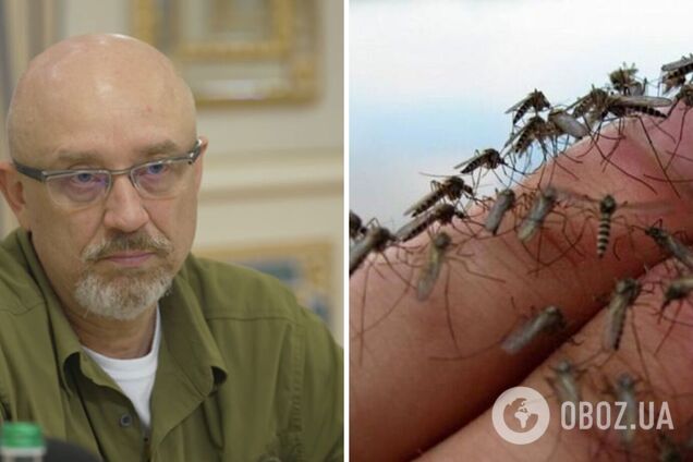 'В Україні планується призвати 300 тис. комарів': Резніков потролив Росію 'біозброєю' після заяв Небензі