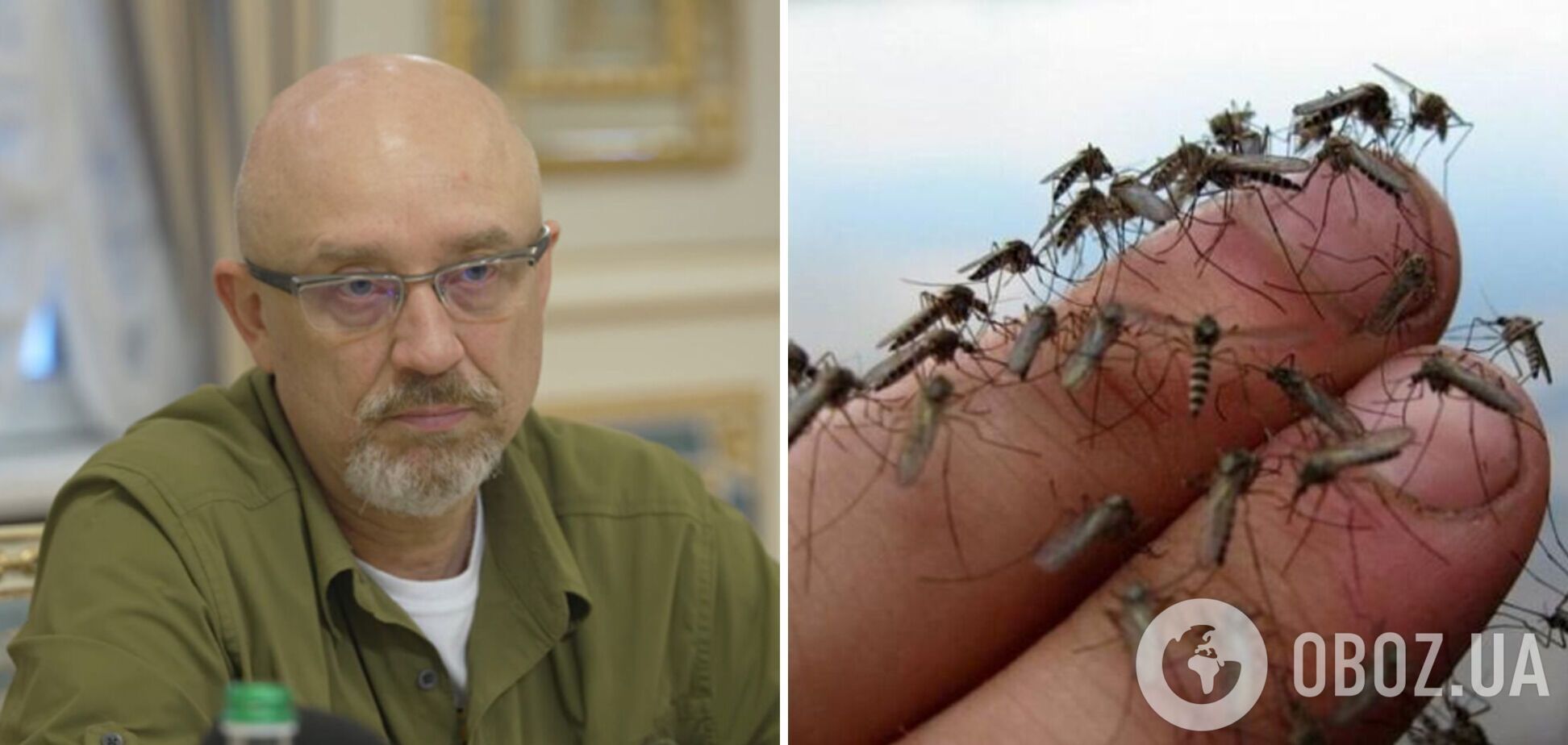 'В Україні планується призвати 300 тис. комарів': Резніков потролив Росію 'біозброєю' після заяв Небензі