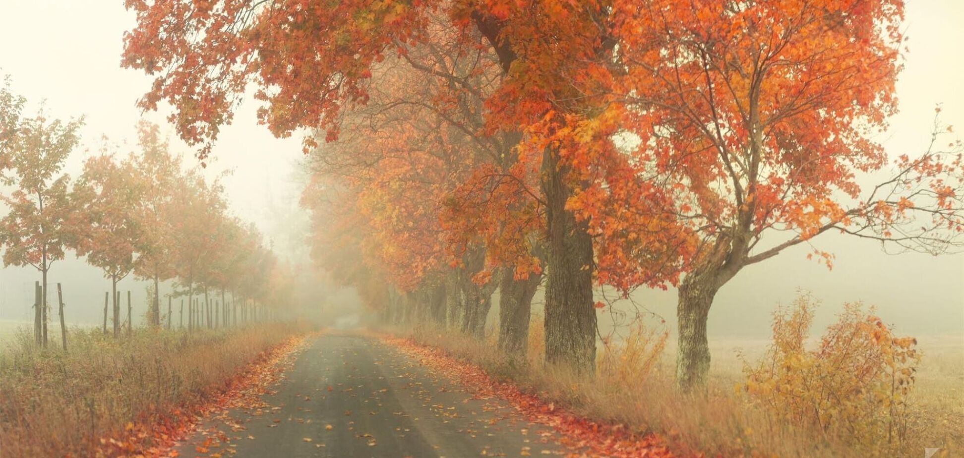 Прогноз погоди по Україні