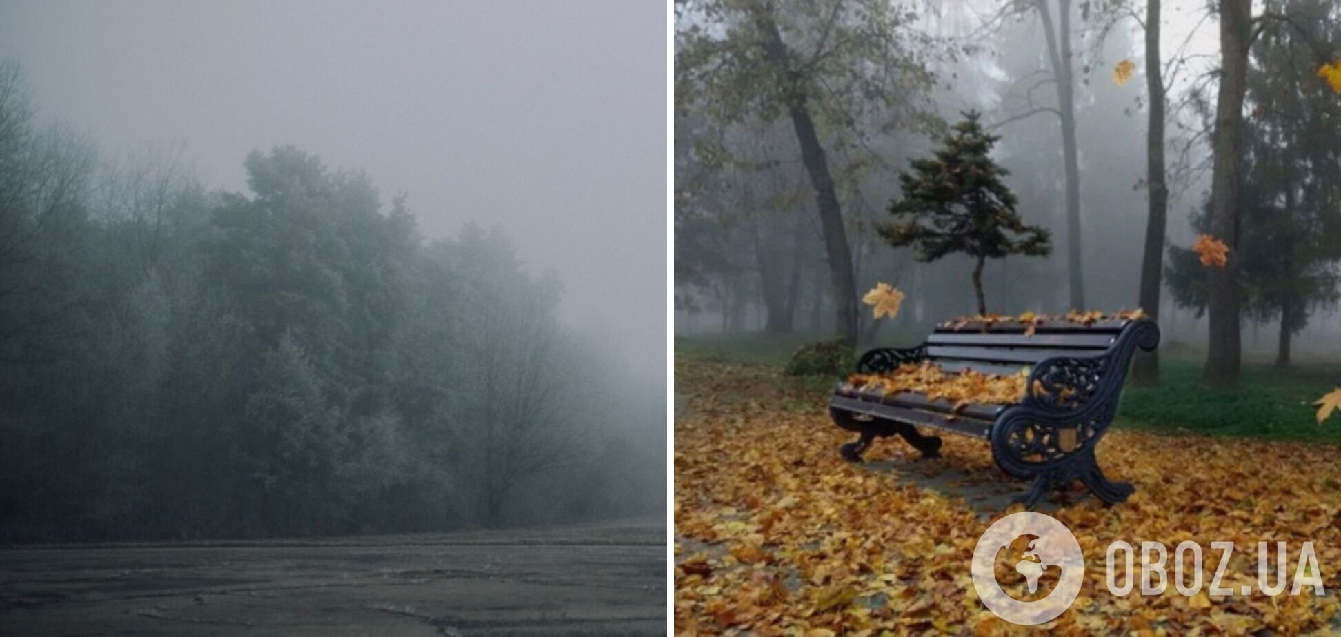 Туманная осень в Украине.