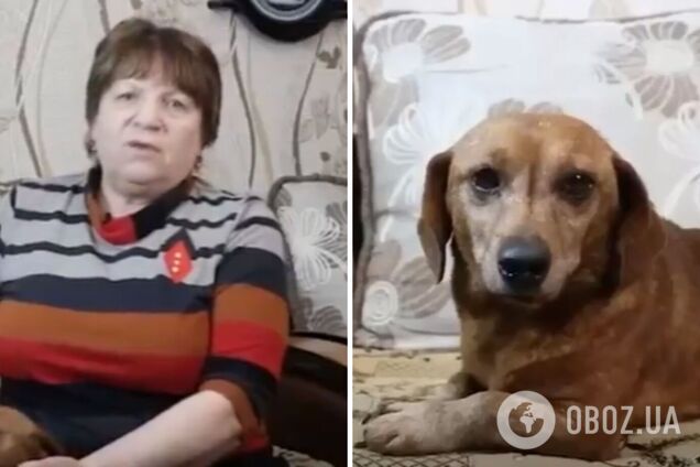 Российский 'мобик' отправил матери в Башкортостан собаку, украденную в Запорожье: та назвала пса Zетом. Видео