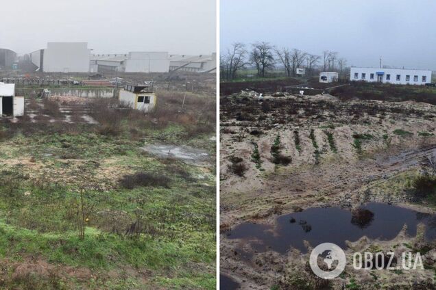 В Чернобаевке из-за обстрелов оккупантов произошел массовый мор птиц на фабрике: есть угроза заражения значительной территории