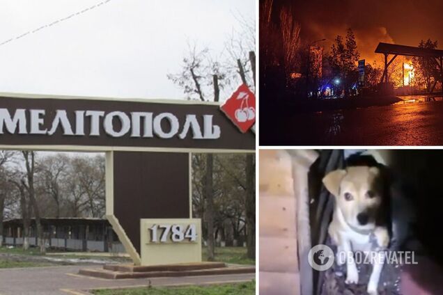 З’явилося перше відео з місця удару HIMARS по базі окупантів у Мелітополі: вижило цуценя