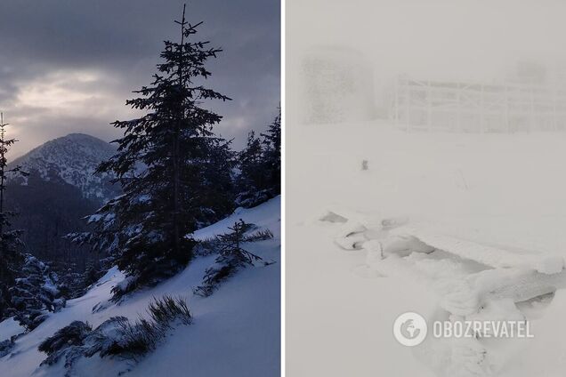 У Карпатах ударив мороз до -15 градусів, гори замело снігом. Фото