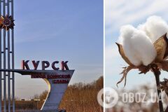 В Курске новая поставка 'хлопка': в районе аэропорта прогремели взрывы. Видео