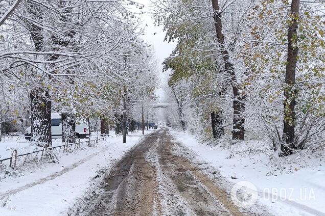 Синоптики попередили про хуртовину