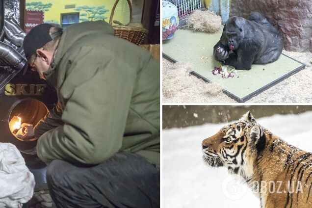 У жителей Киевзоо также есть свои пункты обогрева: Кличко показал, как зоопарк готовится пережить сложную зиму