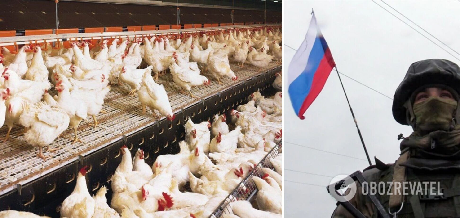 Россия уничтожила птицефабрику 'Чернобаевская'
