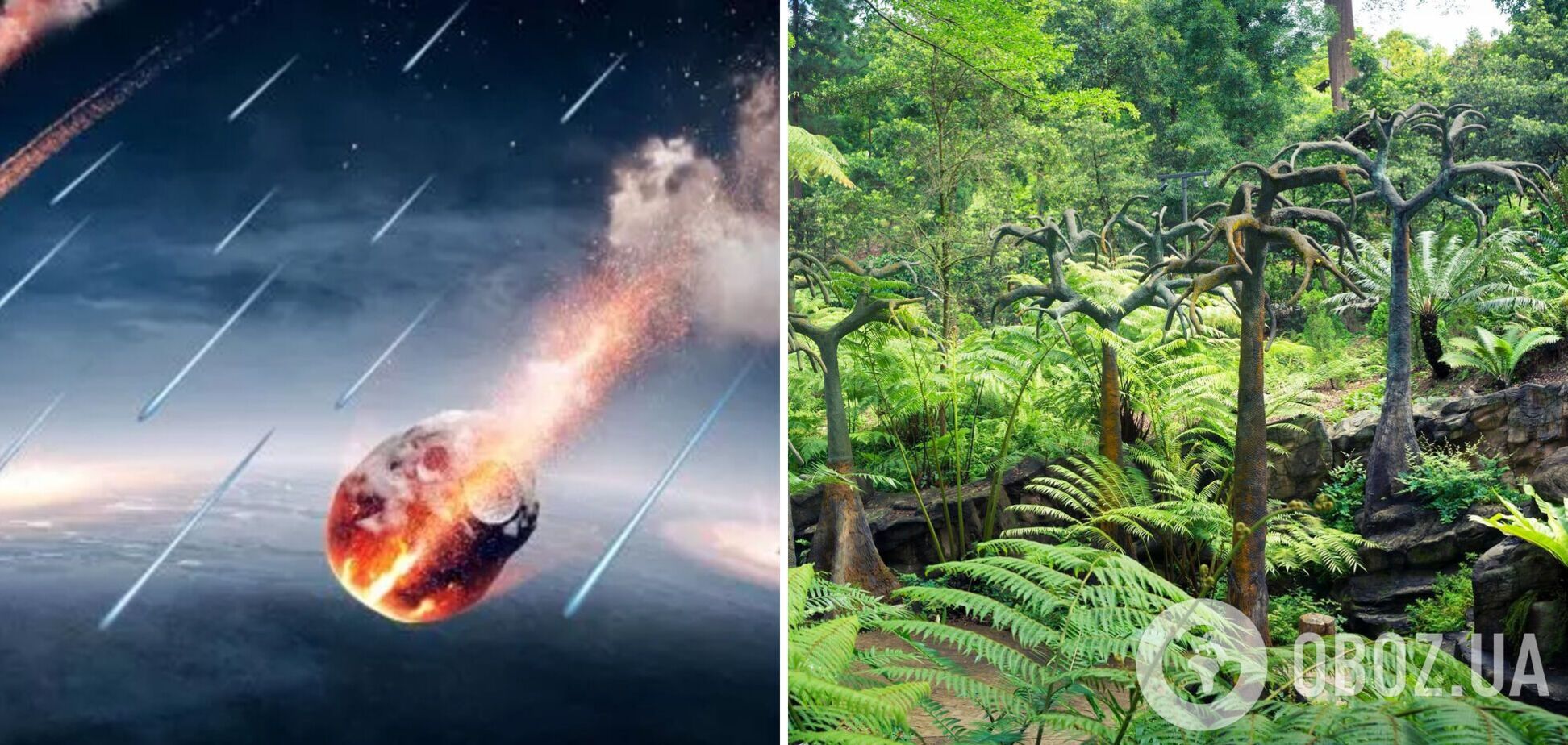 Радіоактивний метеорит міг принести життя на Землю із космосу – дослідження вчених