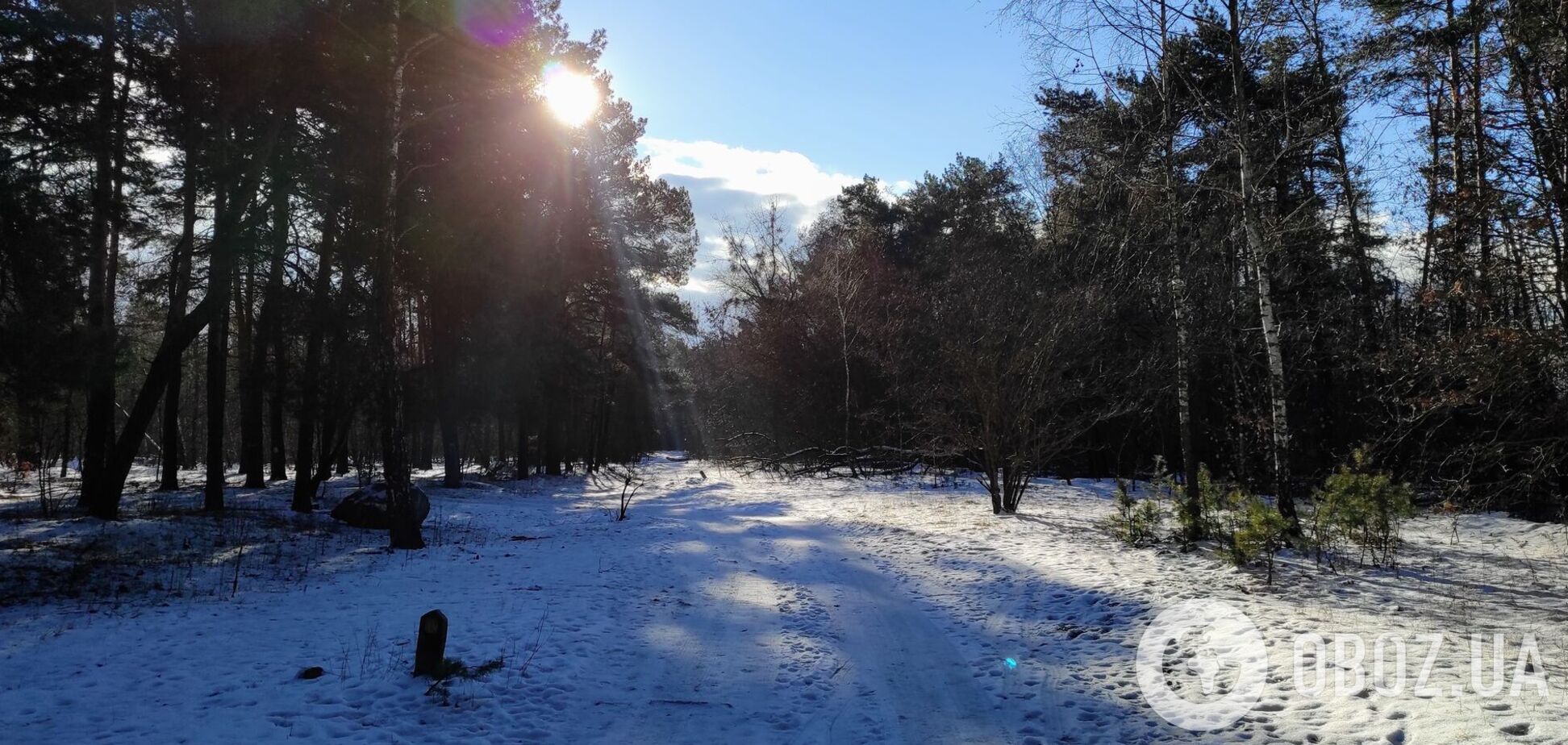 Осадков синоптики не прогнозируют