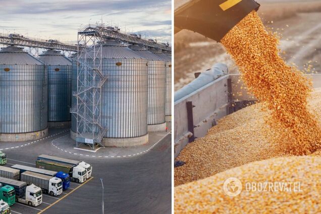 Зерно из Украины оказалось самым дешевым в мире