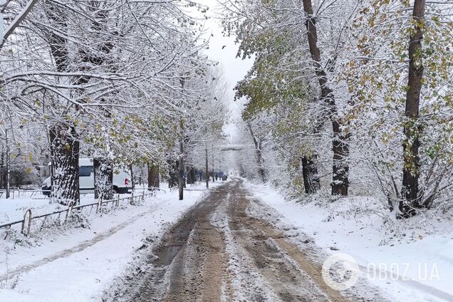 Осадков синоптики не прогнозируют