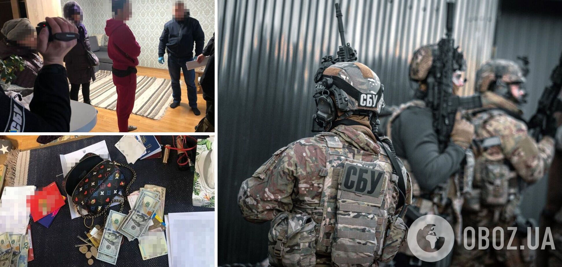 Злоумышленницей оказалась жительница Киевщины