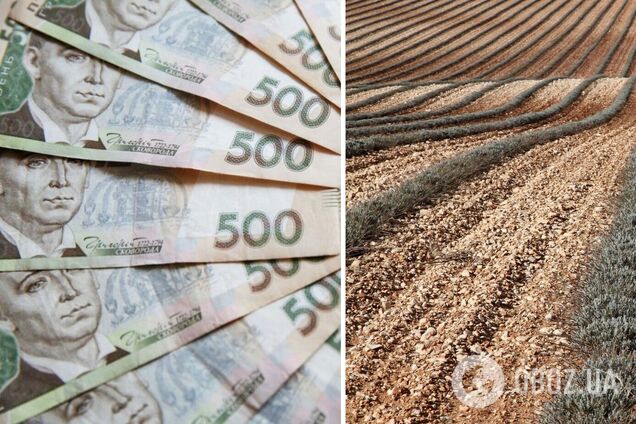 Купить землю в Украине стало дороже