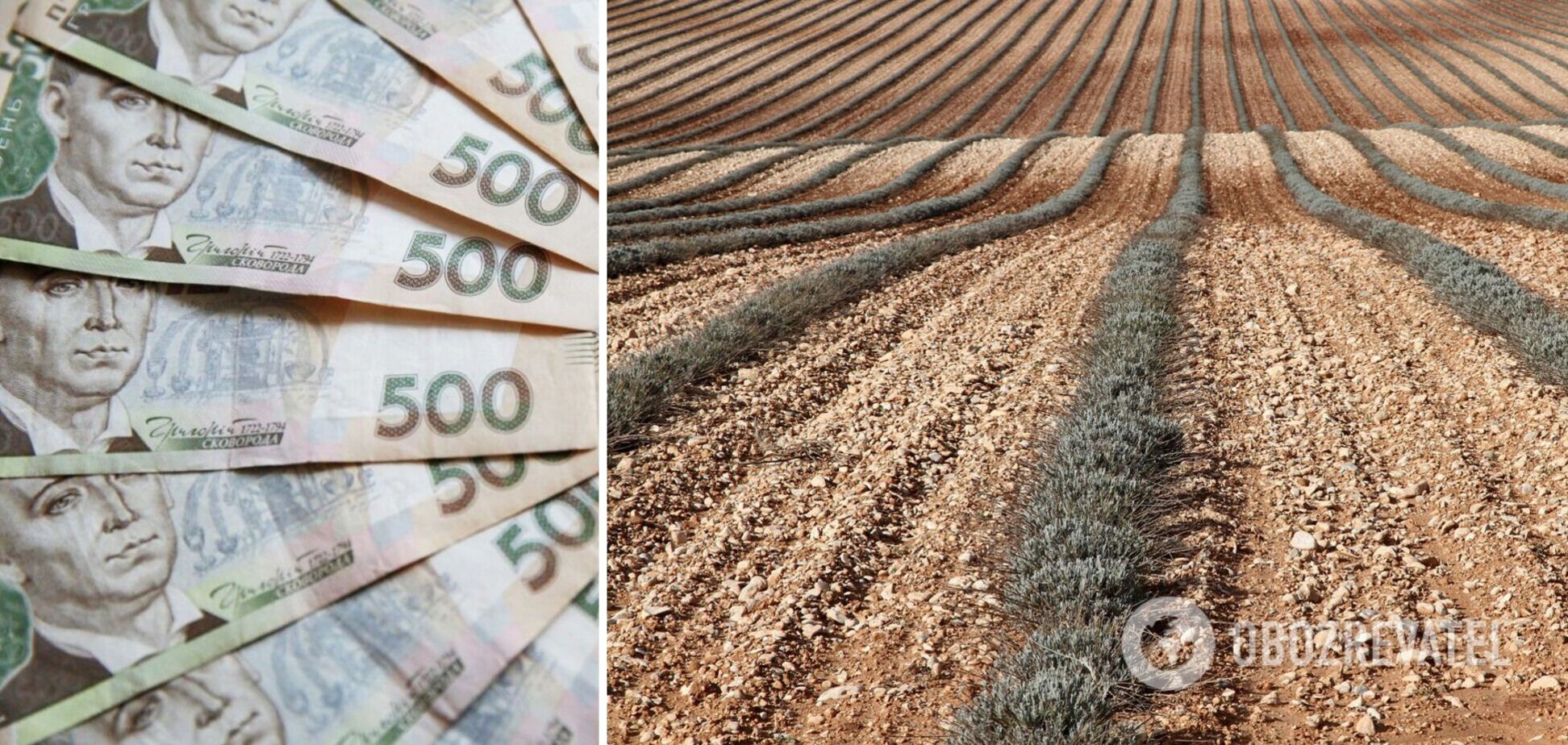 Купить землю в Украине стало дороже