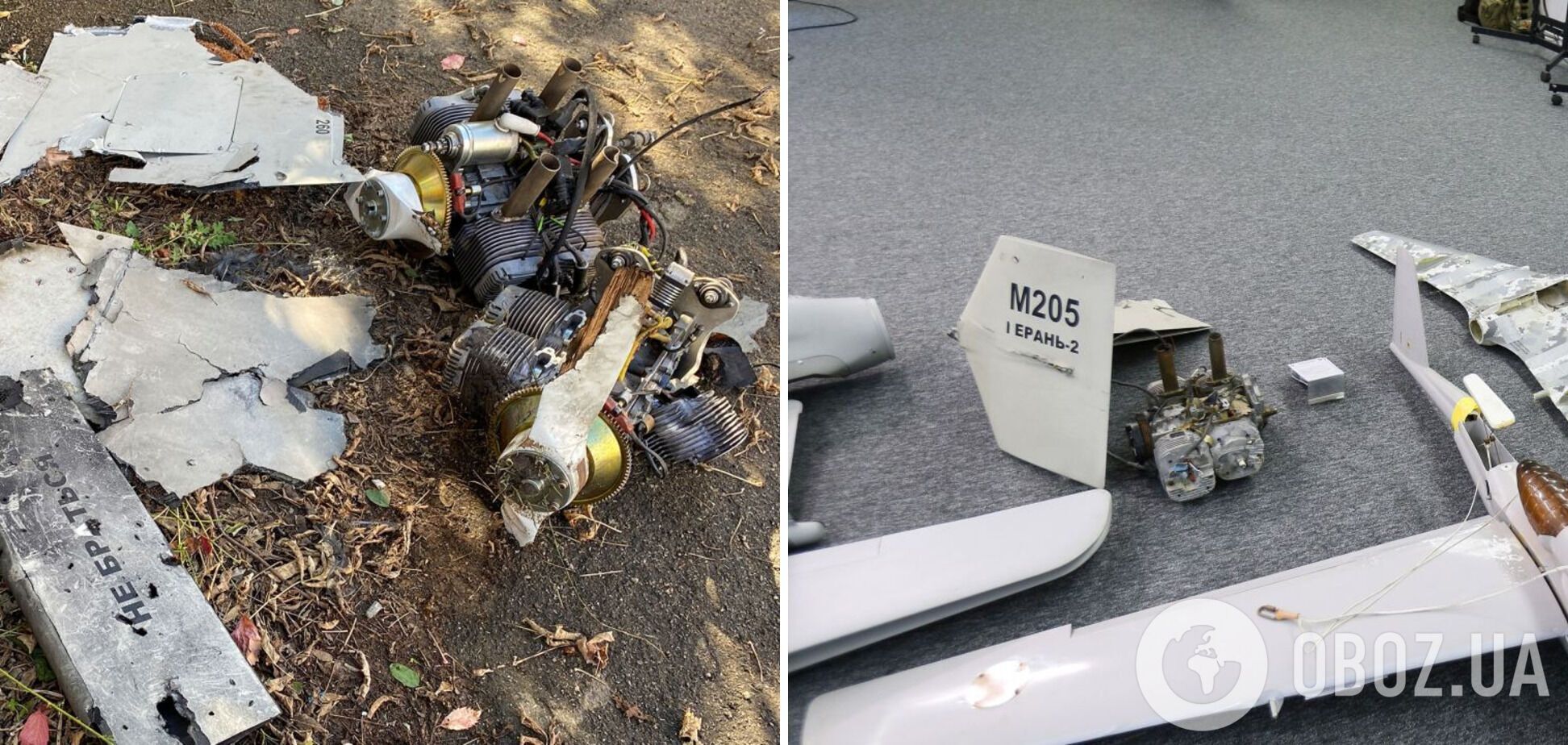 Западные компоненты в иранских дронах