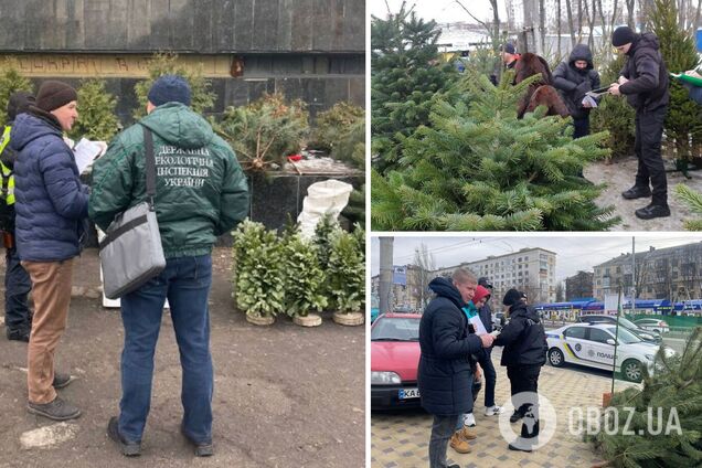 У столиці почали перевіряти місця продажу ялинок