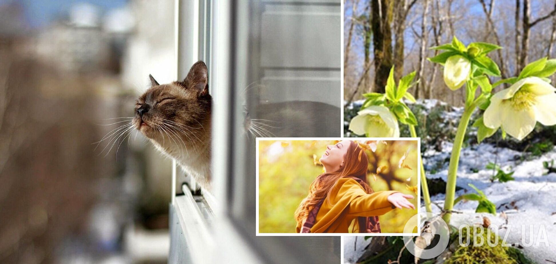Навіть природа допомагає Україні: народний синоптик прогнозує аномальну погоду в січні