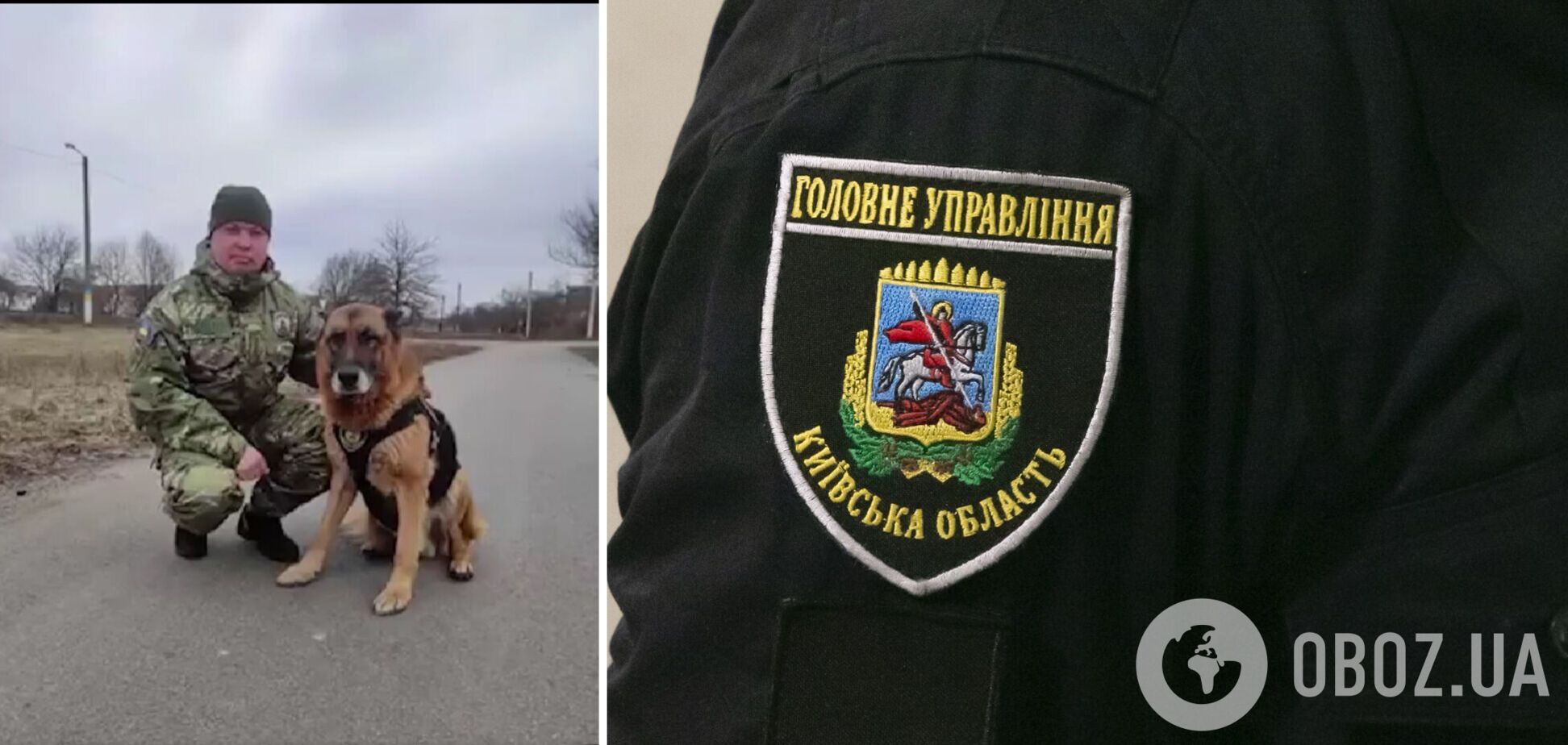 Служебный пес нашел обессиленную пенсионерку в камышах