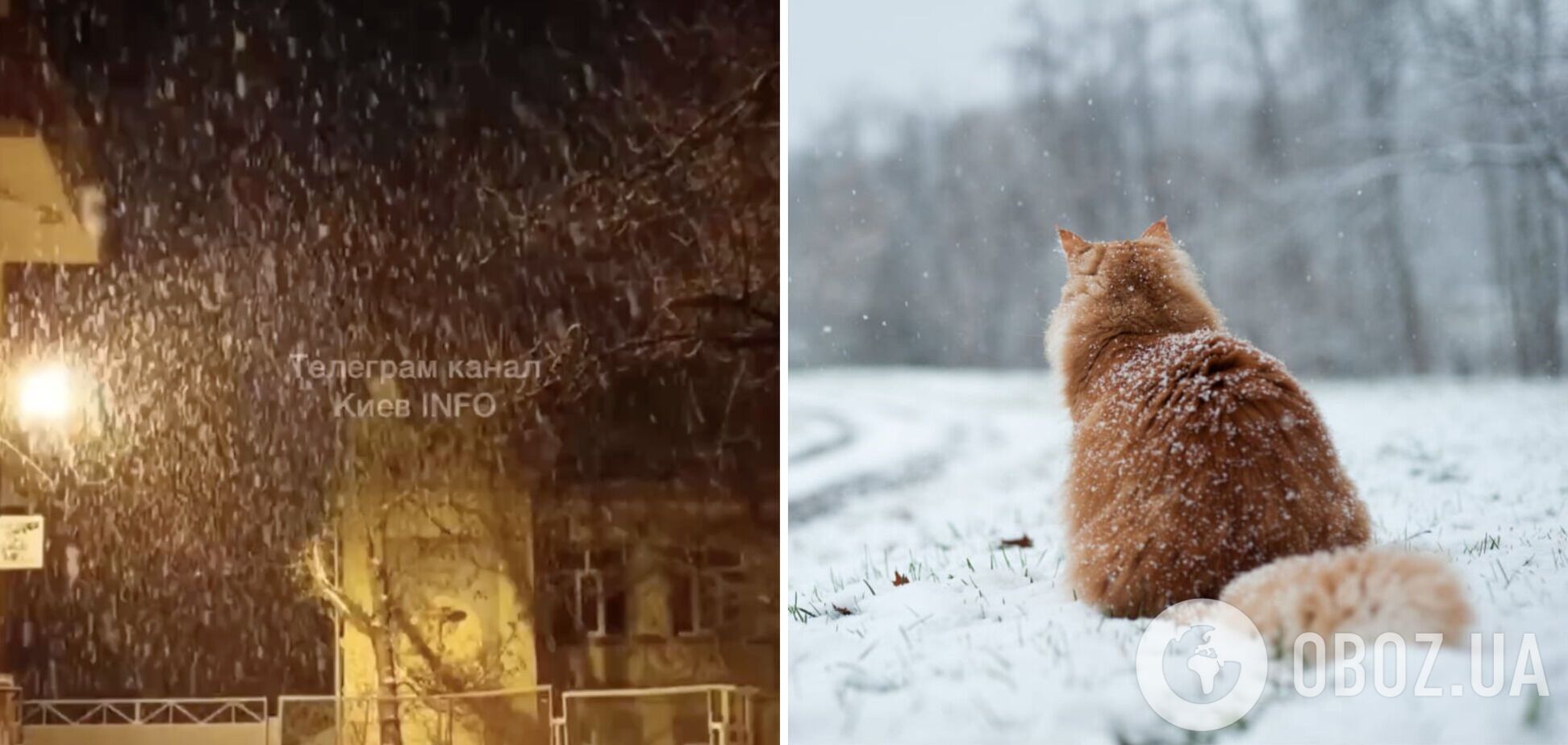 Киев засыпало снегом: синоптики прогнозируют, что зимняя сказка ненадолго. Видео