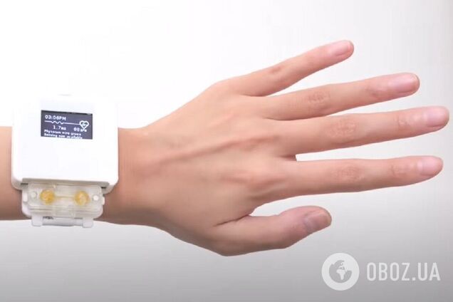 Тамагочи 2.0: ученые создали живые часы, которые нужно кормить настоящей едой