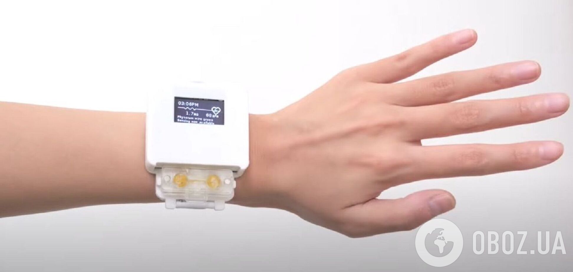 Тамагочи 2.0: ученые создали живые часы, которые нужно кормить настоящей едой