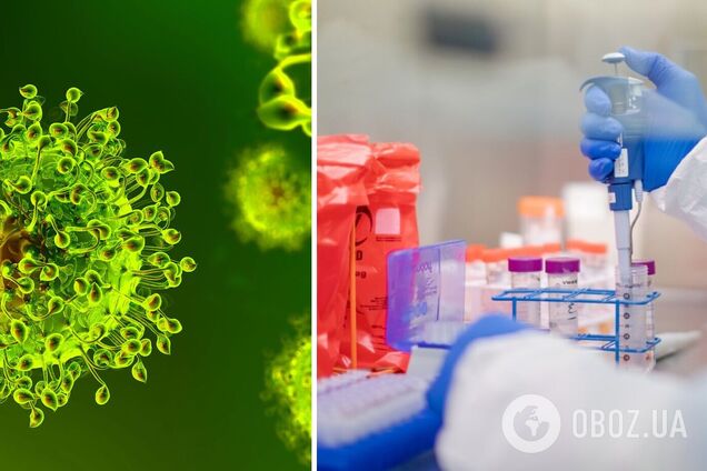 Ізраїльські вчені виявили 100 тисяч нових типів вірусів: це в 9 разів більше, ніж було відомо науці до цього