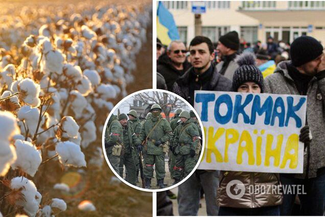 Оккупантов в Токмаке нашла 'бавовна'