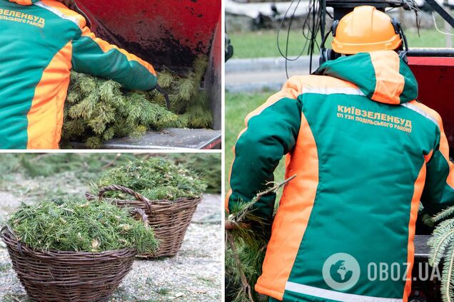 У Києві в січні почнуть працювати пункти утилізації дерев